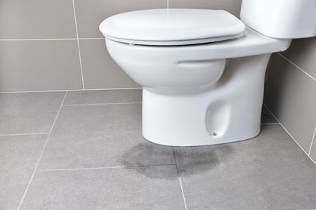 Toilet Installation & Repair